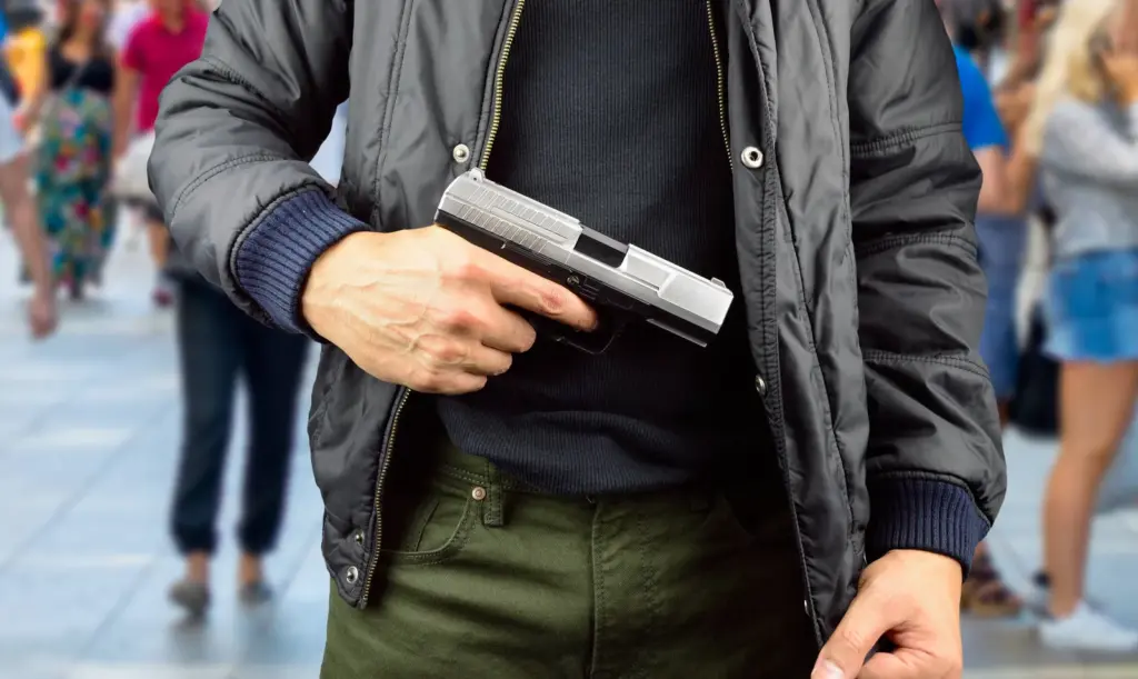 Reference image: The thief had intercepted tourists with a firearm.