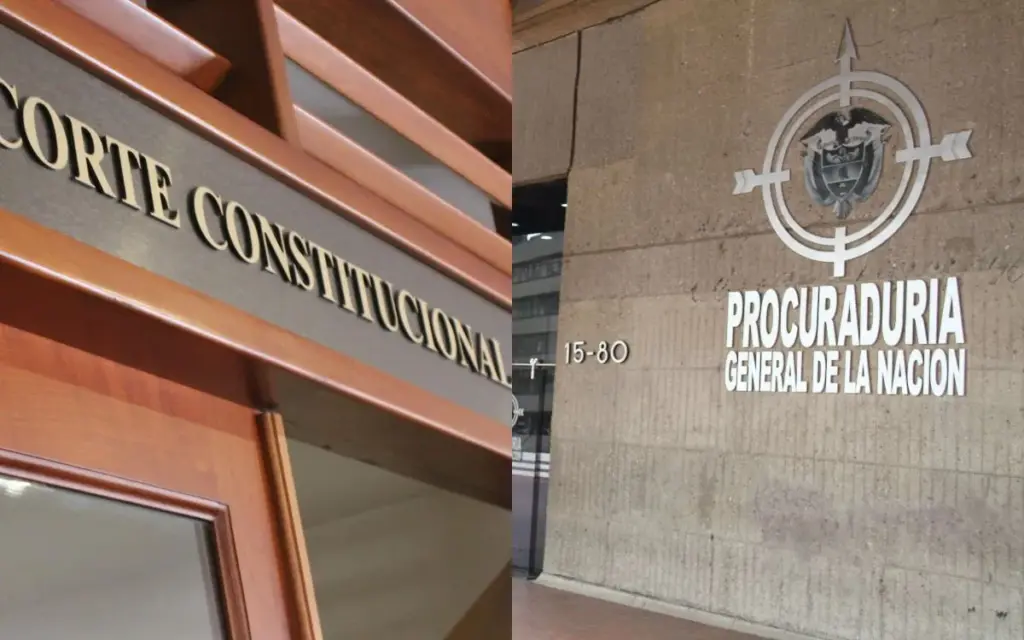 Corte Constitucional